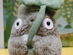 -猫的天空之城概念书店(杭州南宋御街店)