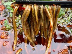 -乐山第一家临江鳝丝(茶坊路店)