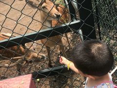 -北京麋鹿生态实验中心