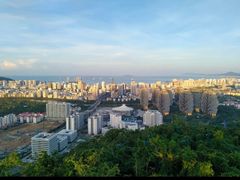 -海南热带雨林国家公园吊罗山景区
