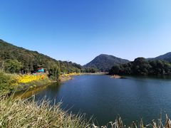 -广州市石门国家森林公园