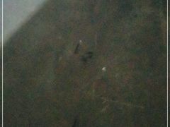 -季季红火锅(长沙步行街店)