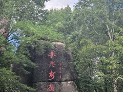 -汤旺河林海奇石景区