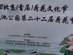-莲花池公园