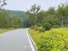 -佛慧山
