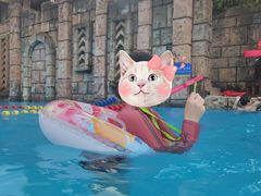 -重庆海昌加勒比海水世界