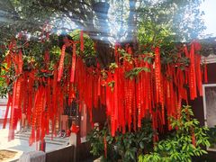 -长春观