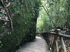 -修水东浒寨风景区