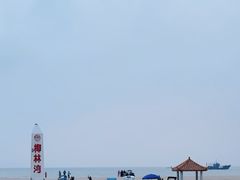 -东郊椰林
