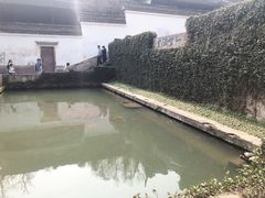 -宁波市保国寺古建筑博物馆