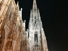 -斯蒂芬主教座堂(Stephansdom)