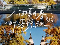-北京石刻艺术博物馆(五塔寺)