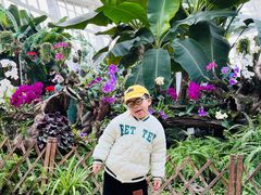 -石家庄市植物园