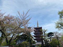 -浅草寺