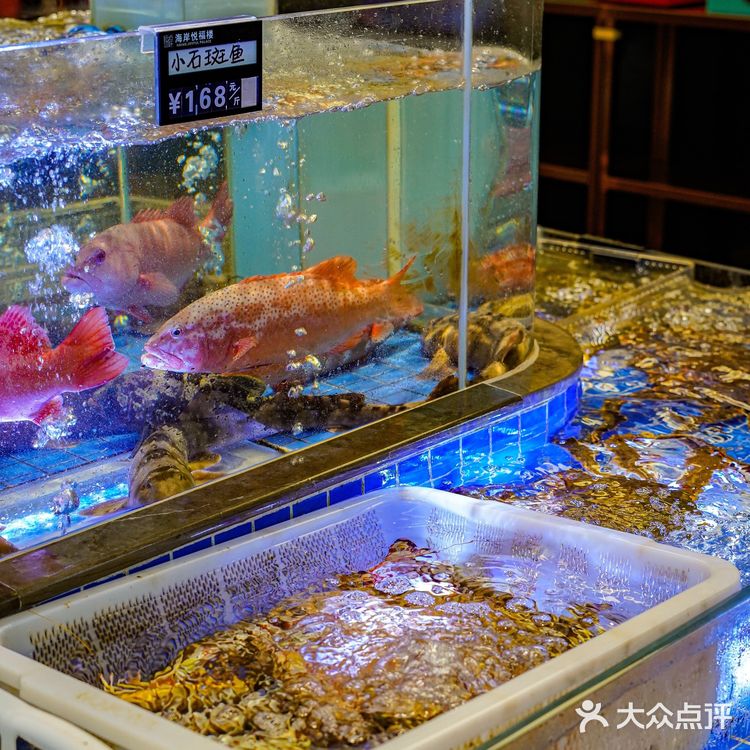 晋江气派海鲜楼宴请就来这里！