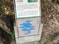 -广州白江湖森林公园