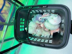 -幻物社(万象天地店)