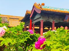 -故宫博物院(故宫)