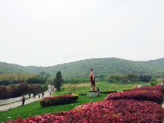 -龙寺生态园