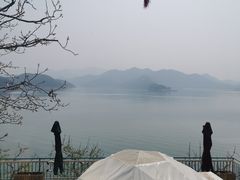 -望湖烤鱼
