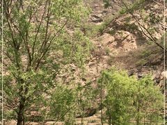 -白河湾生态旅游一条川
