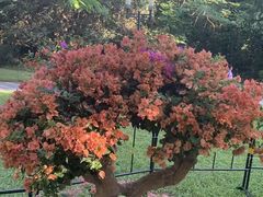 -顺意·顺德家乡菜(国际人才大厦店)