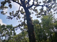 -上海孙中山故居纪念馆