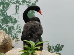 -南京珍珠泉风景区