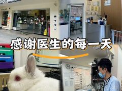 -立德动物医院·异宠·CT·鹦鹉(天河店)