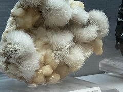 -湖南省地质博物馆