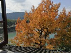 -溪口-滕头旅游景区