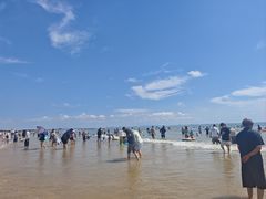 -日照海滨国家森林公园