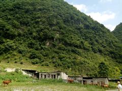 -娄山关景区