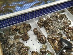 -丰卓会海鲜自助(中润大道店)