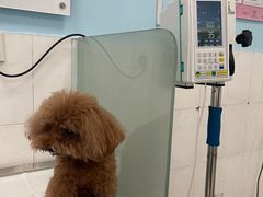 -畜牧兽医站(共江路店)