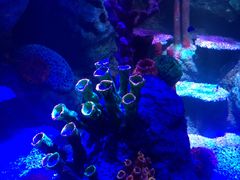 -沈阳海洋探索中心