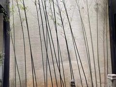 -觀芷隐轩