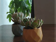 -Mesa Madre梅萨妈妈·Bintana(国贸店)