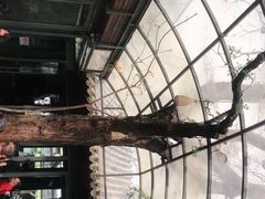 -zarah(鼓楼店)