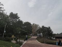 -莫子山公园