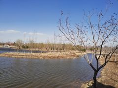 -张家湾公园