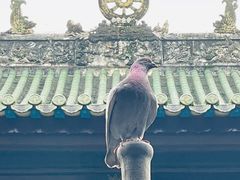 -南华禅寺