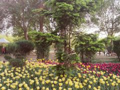 -长春公园(普阳街道)