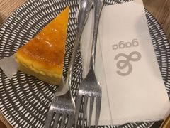 -gaga(深圳南山益田假日广场店)