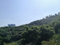 -鲤鱼塘农家山庄