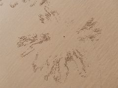 -青岛银沙滩