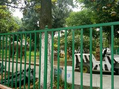 -荆州中山公园动物园