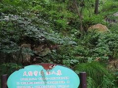 -大岭沟猕猴桃谷风景区