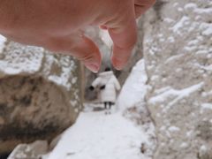 -崂山巨峰游览区