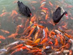 -春晖园度假酒店温泉